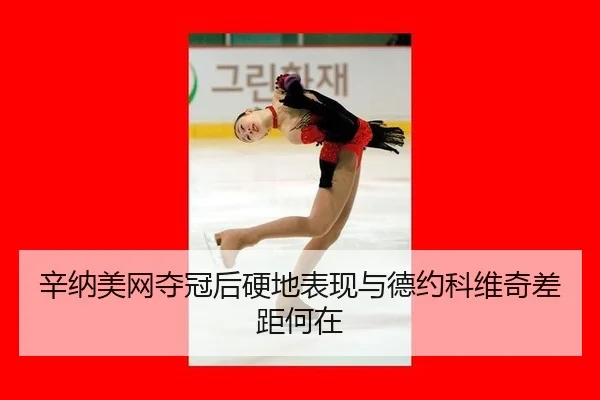 辛纳美网夺冠后硬地表现与德约科维奇差距何在